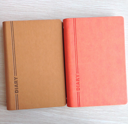 Custom loose-leaf coil diary notebook